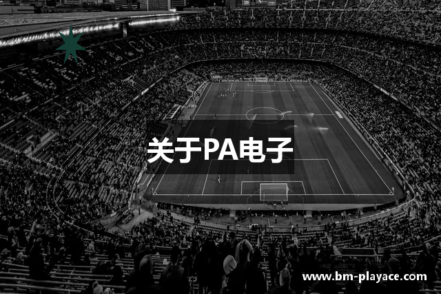 关于PA电子